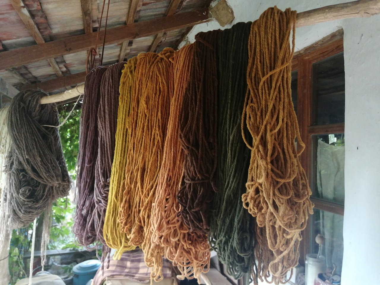 Festőnövények II - természetes textil színezés újra
