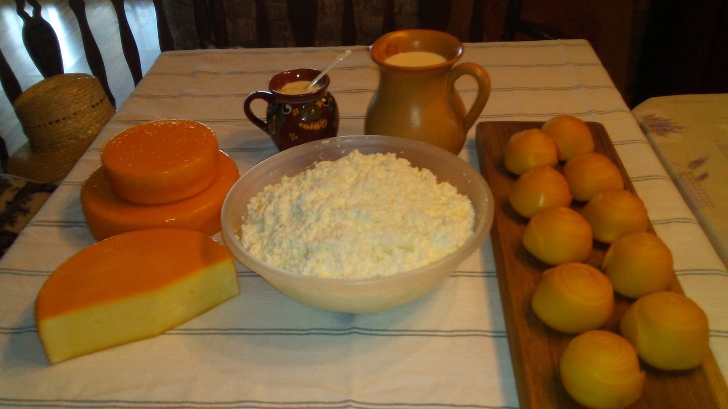 Sajtkészítés – túró - vaníliás krémtúró - tejföl - fűszeres krémsajt